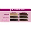 Coloração Bela&Cor Sem Amônia Kit - 6.34 Chocolate Avelã-5e5d528d-ec2d-4a55-9557-aa7b0707be1f