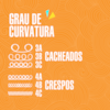 Creme para Pentear Coco e Cacau Soul Power - Deixa os Cachos Soltos e Macios - 800g-0b4599f1-dd68-4cb5-9343-d6a6f4447c38